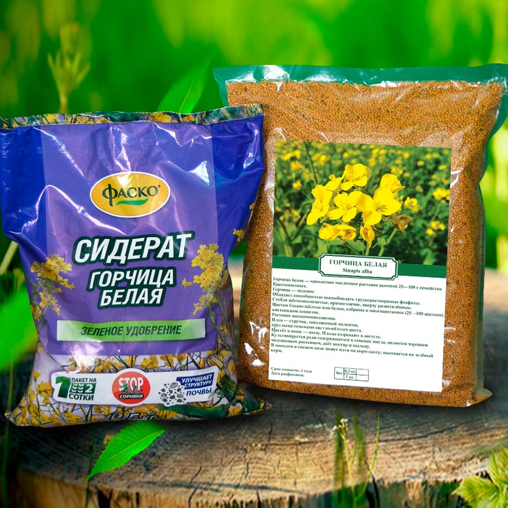 Сидераты после лука и чеснока